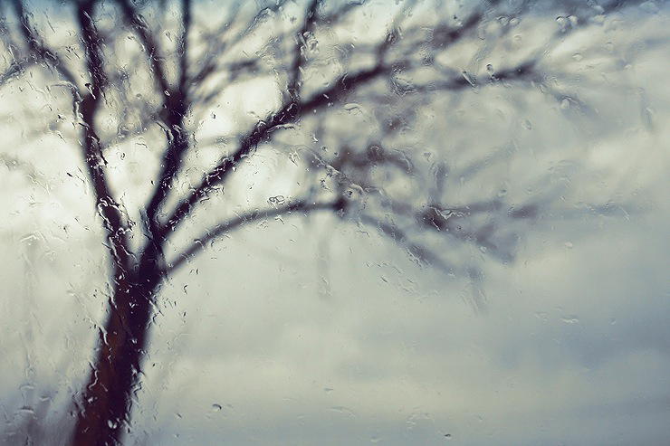 Managing Stress and Anxiety in the Wake of Trauma