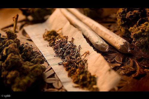 People Who Smoke Strong Marijuana Are 7 Times More Likely to Become Psychotic
