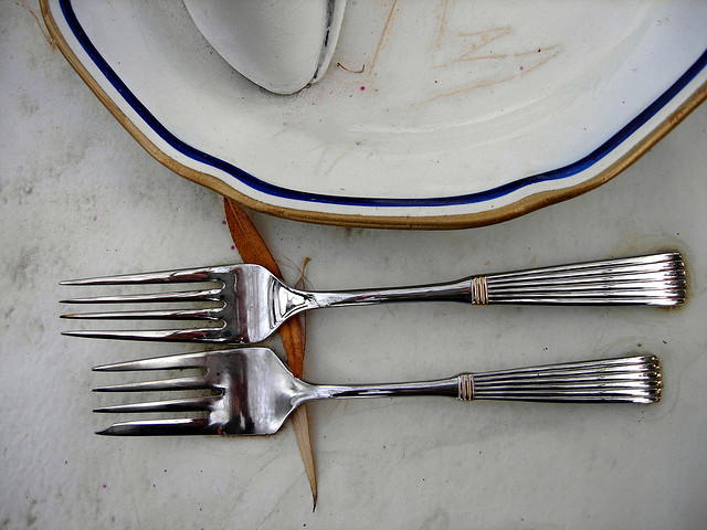 Fighting Obesity - Talking Dinner Plates Teach Healthier Eating Habits