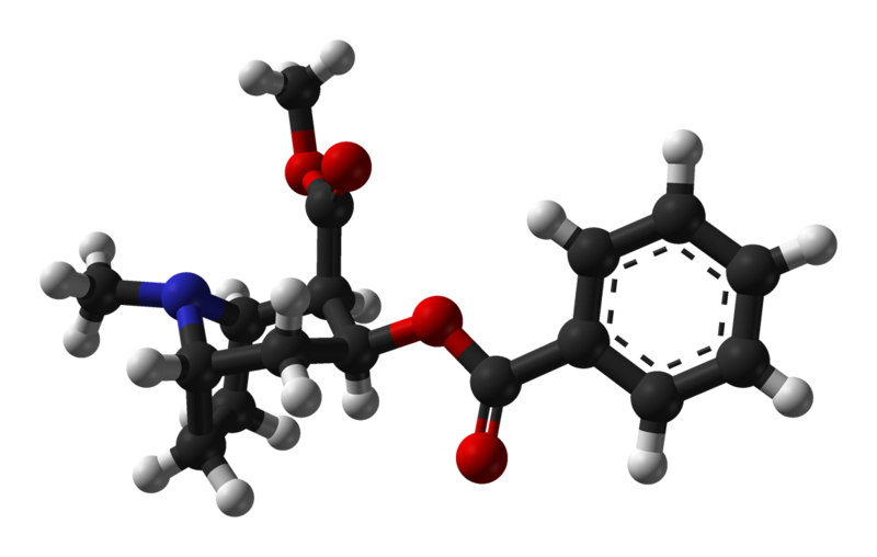 New Cocaine Vaccine Looks Promising