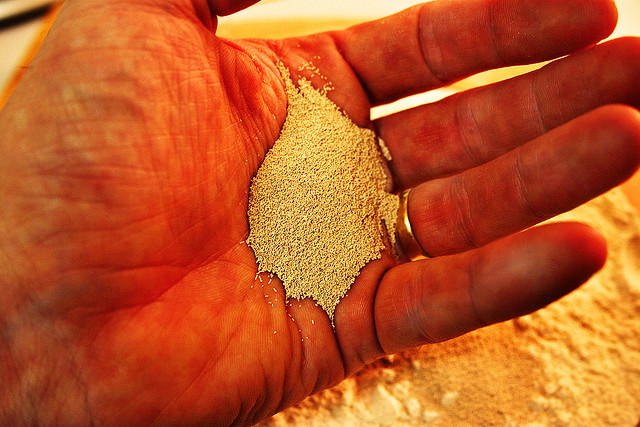 In 34 Alaskan Communities Looking to Stop Homebrew Alcohol, Possessing Yeast and Sugar is a Crime