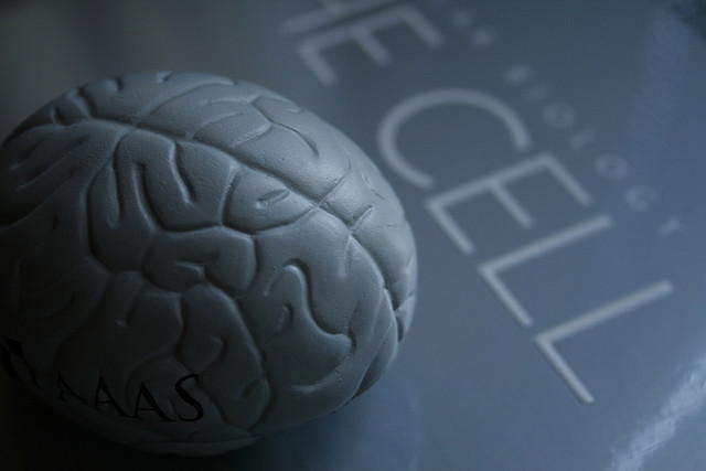 Parents - Prevent Drinking to Prevent Developmental Brain Damage