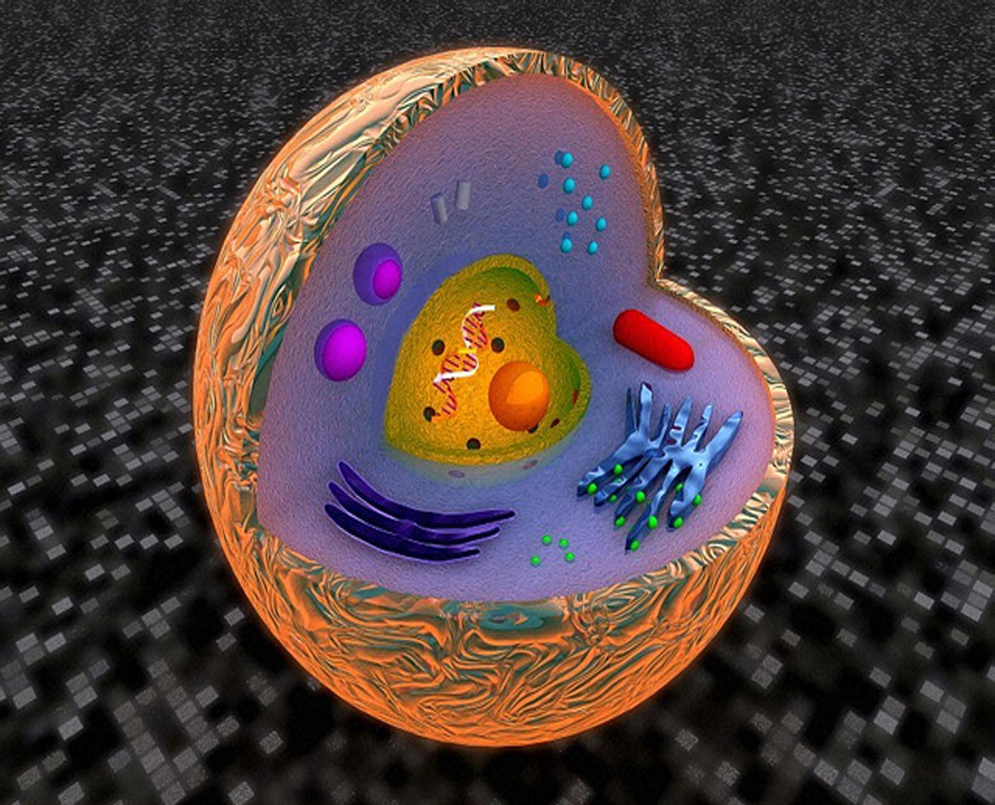 USC Researchers Say Liver Mitochondria Play Key Role in Alcoholic Liver Diseases – Study Findings May Lead to Better Treatments