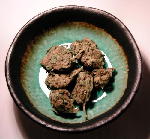 Toronto Police Arrest 2 Dirty Cops in Marijuana Grow-Op Bust