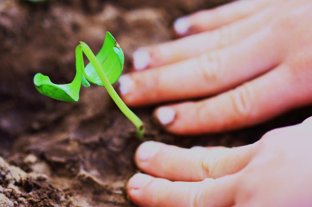 Developing Manageability and Stability to Reduce Stress and Avoid Relapse