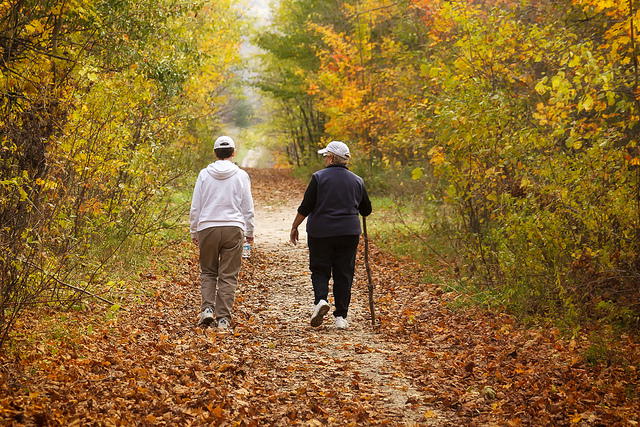 Nature Walks Reduce Symptoms of Depression