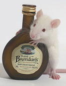 Rats Fed a High Fat Diet Develop a Tolerance to the Pleasures of Eating