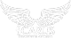 Icarus Behavioral Health logo