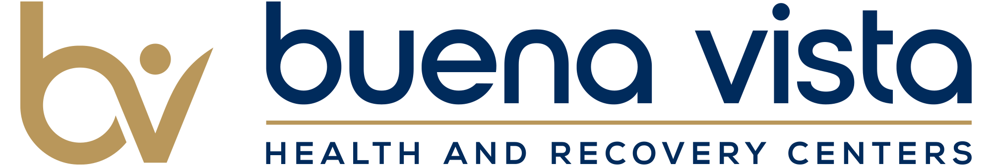 Buena Vista Health and Recovery LLC logo