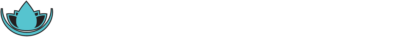 Scottsdale Recovery II LLC logo