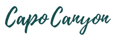 Capo Canyon Recovery logo