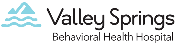 Valley Springs Changes logo
