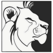 Courage Center LLC logo