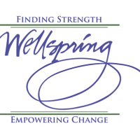 Wellspring Inc