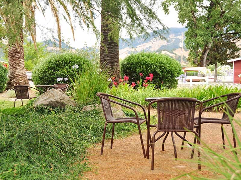 Duffy's Napa Valley Rehab