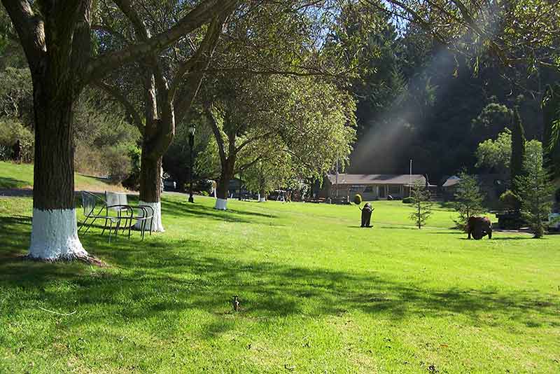 The Camp Recovery Center