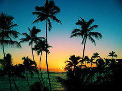 Hawaii Mens Center 