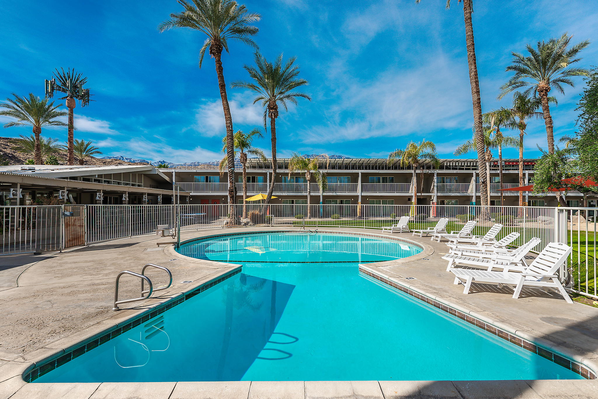 Banyan Palm Springs