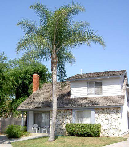 Expedition House