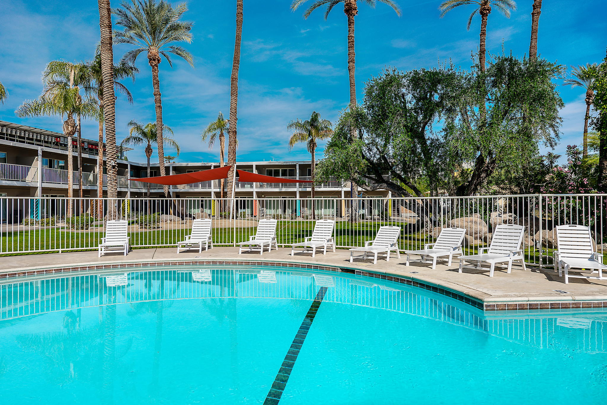 Banyan Palm Springs
