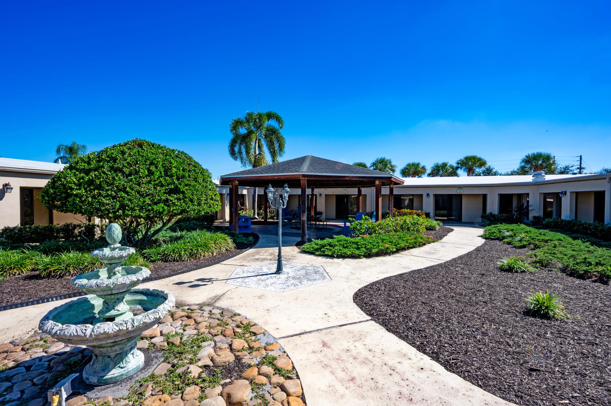Banyan Tampa