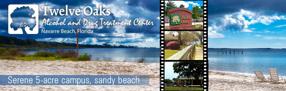 Twelve Oaks Treatment Center — facility