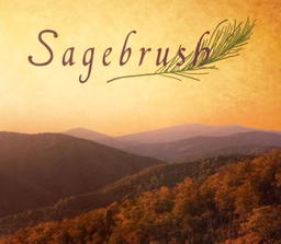 Sagebrush Outpatient Facility - McLean