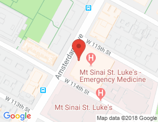 The Addiction Institute of New York - St Luke's logo