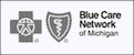 Blue Care Network logo