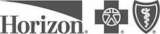 Horizon logo