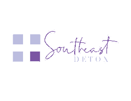 Southeast Detox GA logo